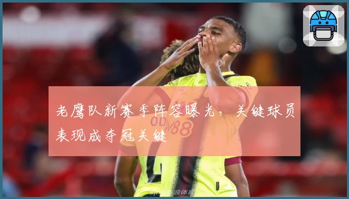 老鹰队新赛季阵容曝光，关键球员表现成夺冠关键