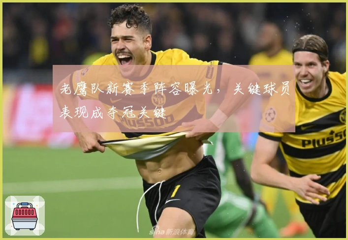 老鹰队新赛季阵容曝光，关键球员表现成夺冠关键