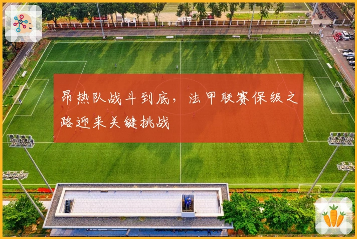 昂热队战斗到底，法甲联赛保级之路迎来关键挑战