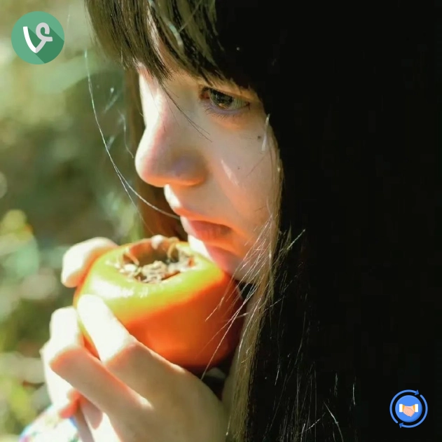 国安铁杆粉(浙江省)